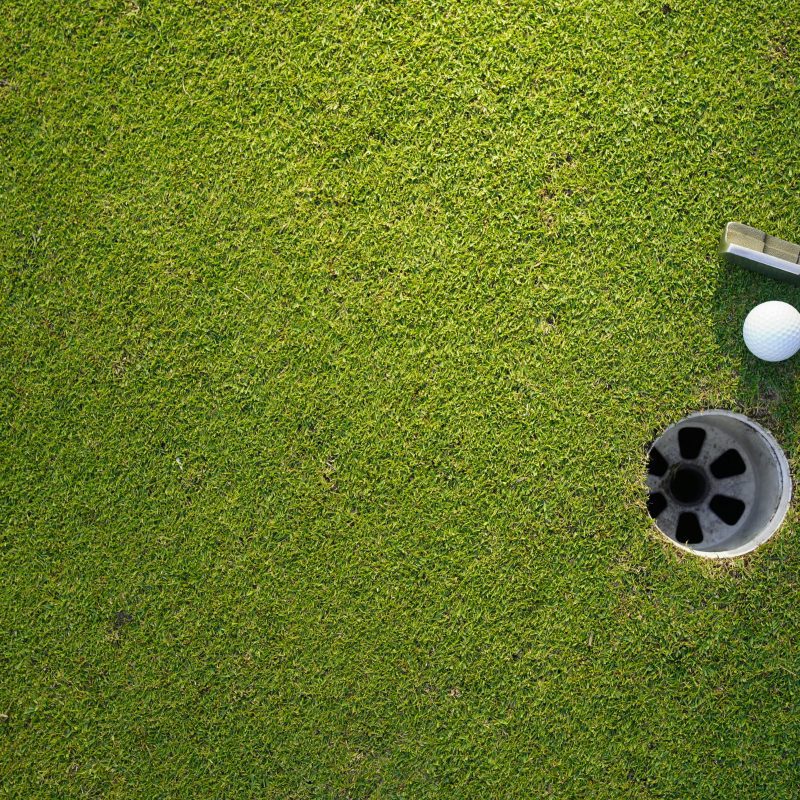 putter and golf ball on green